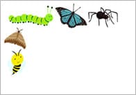 Minibeasts notepaper