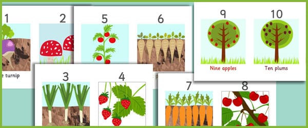 Fruit and Vegetables Number Line