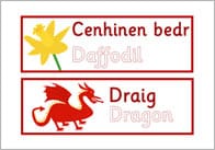 St David’s Day Picture Cards