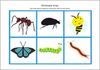 Minibeast Themed Bingo