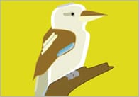 Australian Animals 15cm Flashcards