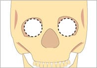 Skull Role-Play Masks