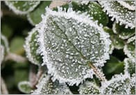 Winter Photo Pack