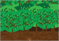 Goldliocks Small World Scenery – Part 2: Forest