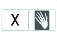 Phase 3: Mnemonic Word Cards