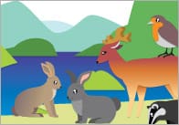 British Wildlife Notepaper / Page Borders