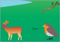 British Wildlife Word Mat