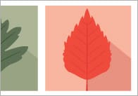 Autumn Leaves A4 Notepaper