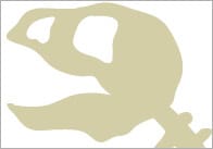 Large Dinosaur Fossil Display Poster