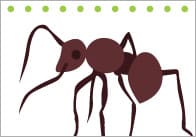 Minibeast A4 Posters