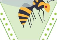 Minibeast Bunting