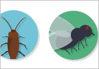 Minibeast Editable Notepaper