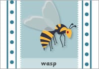 Minibeast Snap With Words
