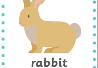 Pets 15cm Cards