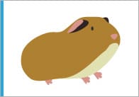 Pets Topic Cards