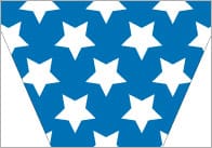 USA Bunting