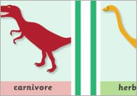 Feeding Dinosaurs Target Game