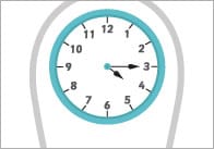 Telling The Time Fans
