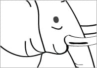 Exotic Animal Colouring In Sheets – Mindfulness Resource