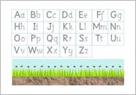Letter Formation