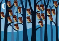 Counting Flash Cards – Owls