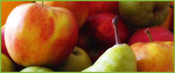 Eat Better, Start Better: Nutrition within Early Years Settings