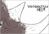 Endangered Species Posters