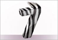 3D Animal Print Numbers