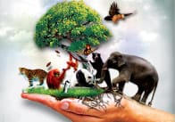 Endangered Animals Posters