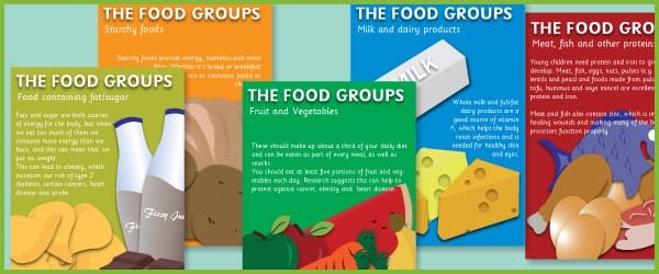 The 5 main food groups