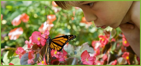 Outdoor Play Activities and Ideas (Part 1)
