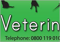 Vet Role Play Banner
