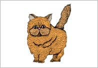 Cat Illustrations