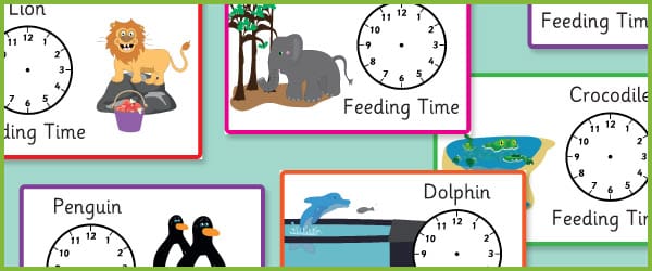Zoo Feeding Time Posters