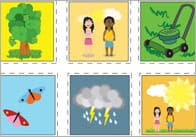 Summer Topic Bingo Cards
