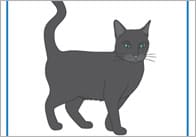 Puss in Boots A4 Display Posters
