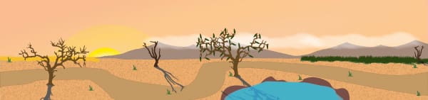 Safari Small World Play Background (Plain)