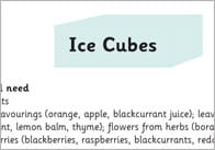 Ice Cubes Activity