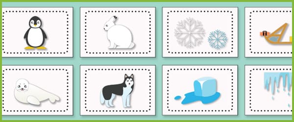 Polar Regions Flashcards