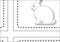 Polar Regions Flashcards