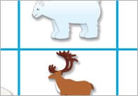 Polar Regions Bingo