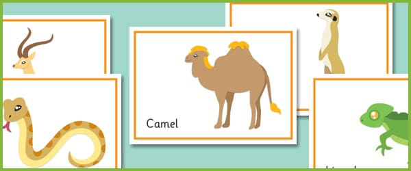 Desert Animals Posters