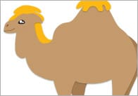 Desert Animals Posters