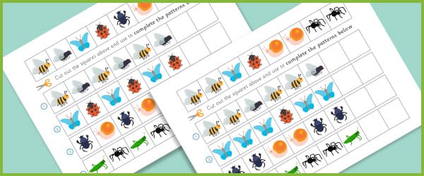 Minibeast worksheet