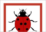 Minibeast Colour Matching Game