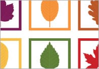 Autumn Leaves Colour Matching Game