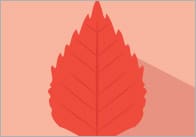 Autumn Leaf Colour Posters