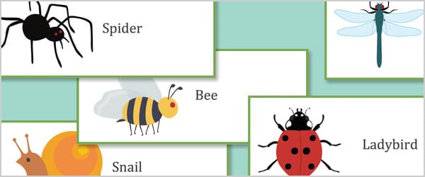 Minibeast Editable Labels