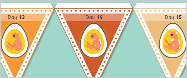 Chick Embryo Bunting