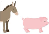 Farm Measuring & Comparing Activity